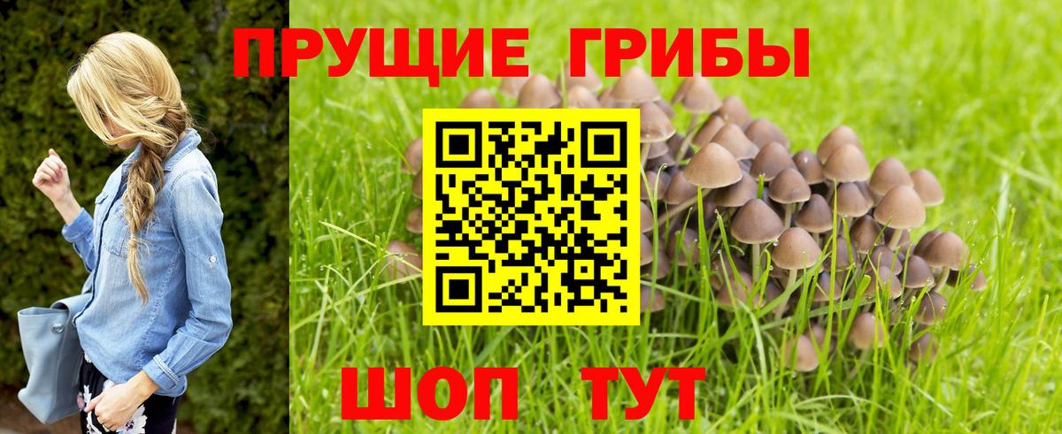 Галлюциногенные грибы GOLDEN TEACHER  Вход с VPN  Воронеж 